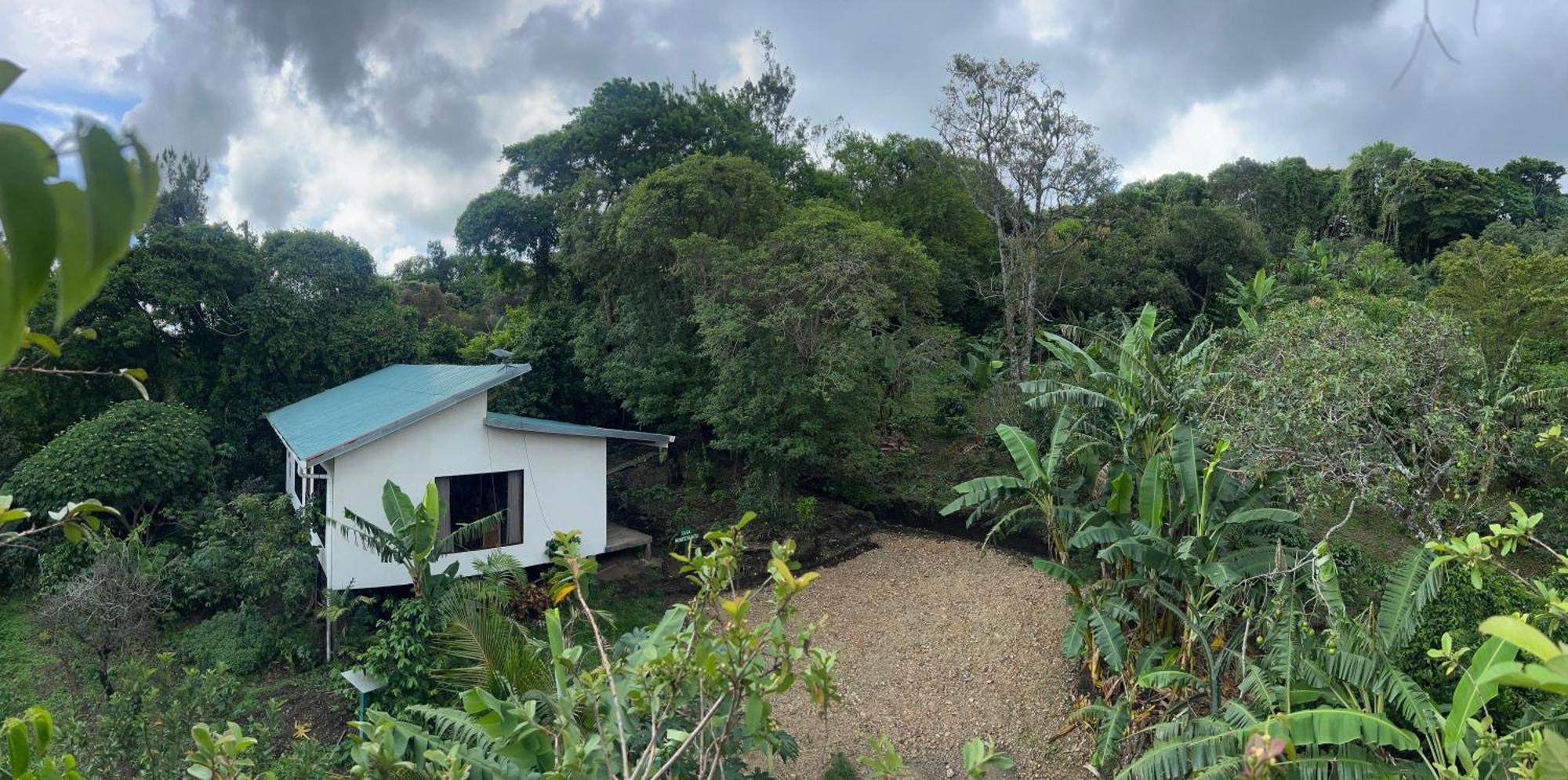 Hotel Monte Santo Y Café à Monteverde Extérieur photo